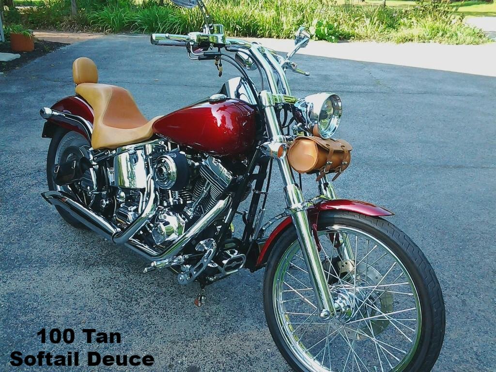 Custom bags for harley davidson 2025