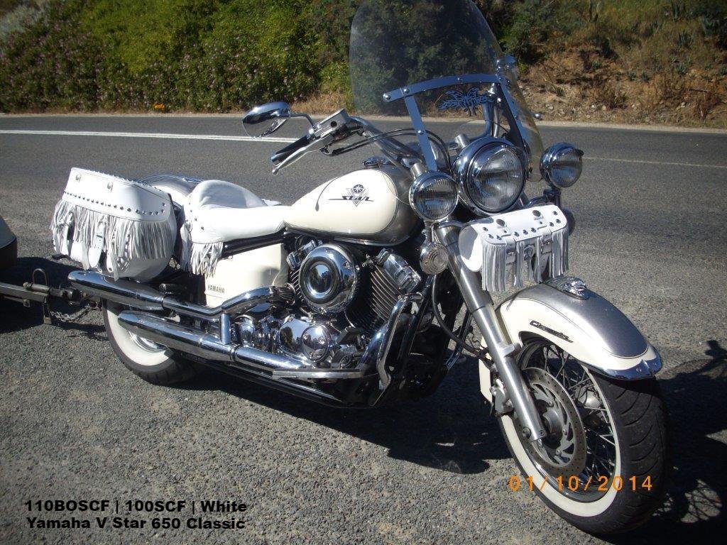 110 Classic Leather Saddlebags